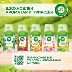 Сменный баллон 250 мл, AIRWICK "Анти-табак. Апельсин/бергамот", для автоматических освежителей, универсальный, 224392