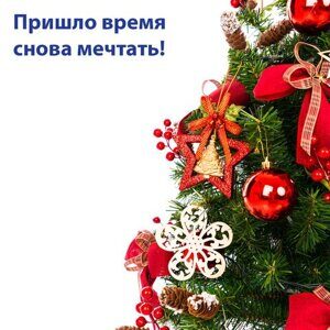 Шары ёлочные 12 шт., 4 см, "Solid Color", пластик, КРАСНЫЕ, глянец, ЗОЛОТАЯ СКАЗКА, 591123