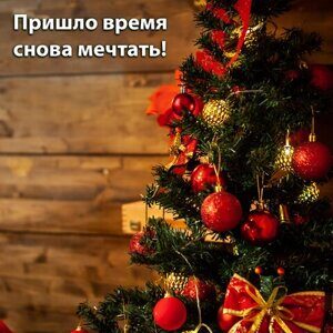 Шары ёлочные 6 шт., 8 см, "Trio", пластик, КРАСНЫЕ (глянец, матовый, глиттер), ЗОЛОТАЯ СКАЗКА, 590873