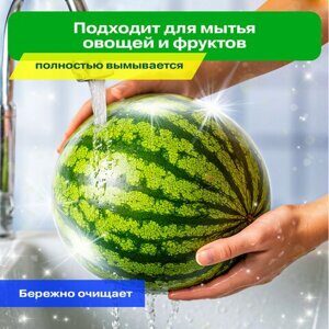 Средство для мытья посуды, овощей и фруктов с дозатором концентрат 1,5 л, PERKLIN "Лимон", 609777