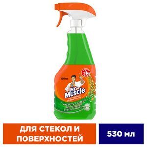 Средство для мытья стекол и зеркал 530 мл, МИСТЕР МУСКУЛ "Утренняя роса", распылитель